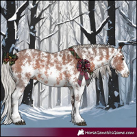 Horse Color:Silver Brown Sabino 