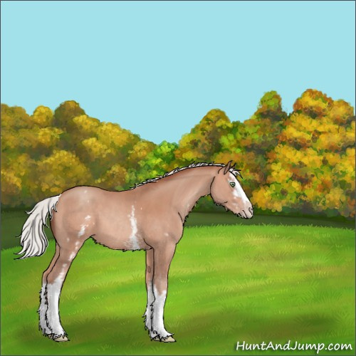Horse Color:White Spotted Silver Sable Champagne Sabino 