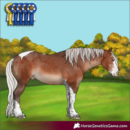 Horse Color:Silver Brown Sabino Tobiano Appaloosa Rabicano 