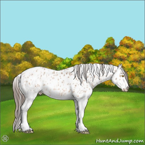 Horse Color:Amber Champagne Sabino Tobiano Leopard  and White Spotted Amber Champagne Tobiano Leopard 