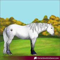 Horse Color:ERROR: UNKNOWN ANOMALY