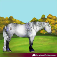 Horse Color:ERROR: UNKNOWN ANOMALY