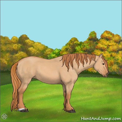 Horse Color:Red Dun 