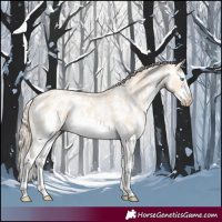 Horse Color:Perlino Sabino Frame 