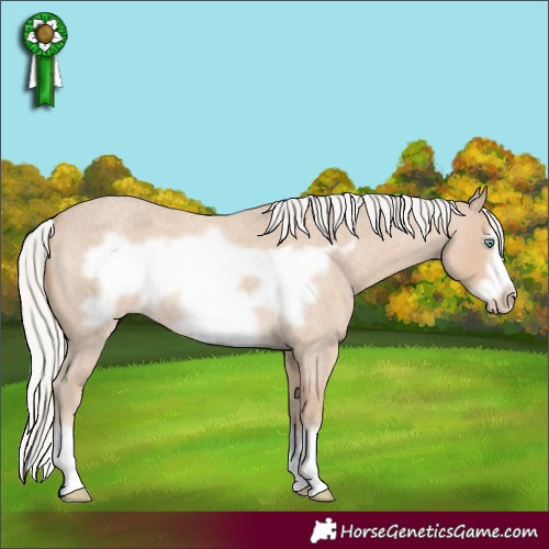 Horse Color:Silver Smoky Creme Roan Frame 