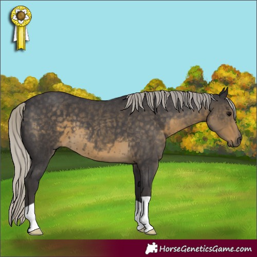 Horse Color:Silver Smoky Blue Roan 