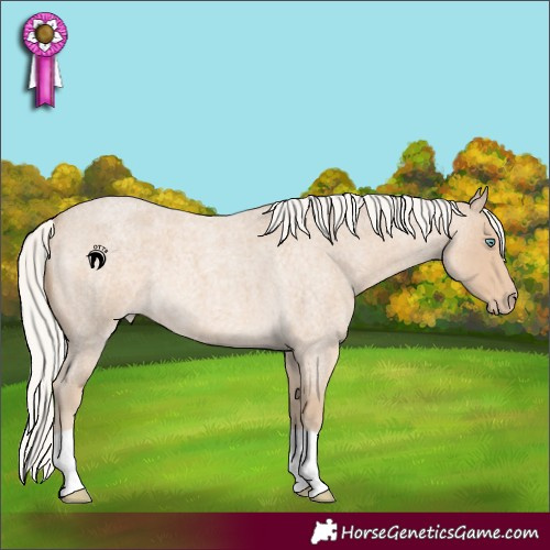 Horse Color:Silver Smoky Creme Roan 