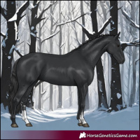 Horse Color:Black Sabino 
