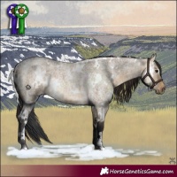 Horse Color:White Spotted Buckskin Roan Dun Rabicano 