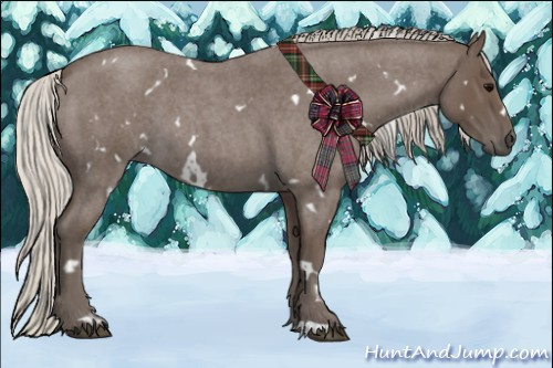 Horse Color:White Spotted Silver Blue Roan 