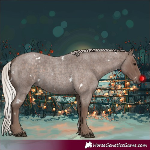 Horse Color:White Spotted Silver Blue Roan 