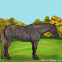 Horse Color:Liver Red Roan  and Liver Red Roan 