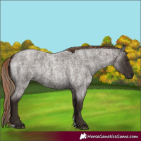 Horse Color:Liver Red Roan  and Liver Red Roan 