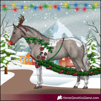 Horse Color:Silver Blue Roan Tobiano 
