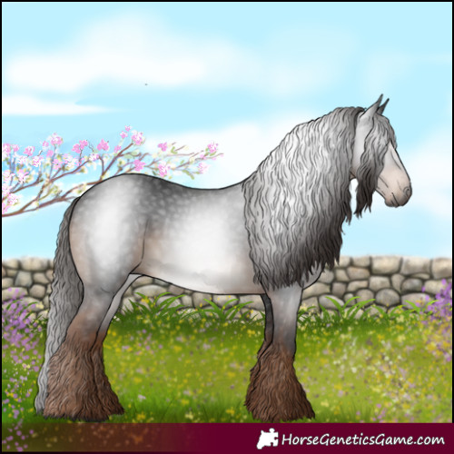 Horse Color:Gray White Spotted Liver Chestnut 