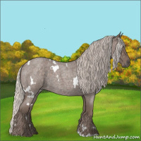 Horse Color:White Spotted Silver Blue Roan 