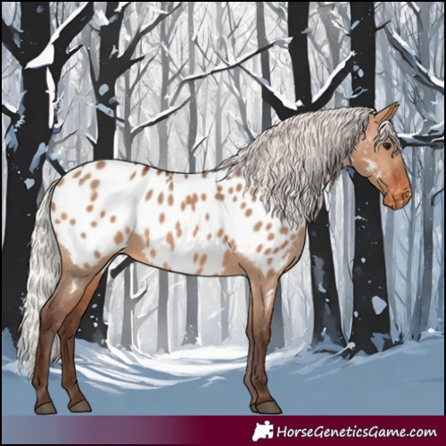 Horse Color:Silver Brown Dun Near Leopard 