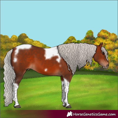 Horse Color:Silver Bay Tobiano Frame 
