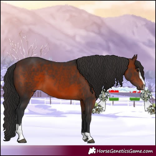 Horse Color:Brown Sabino 