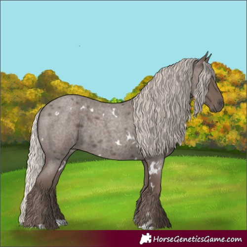 Horse Color:White Spotted Silver Blue Roan