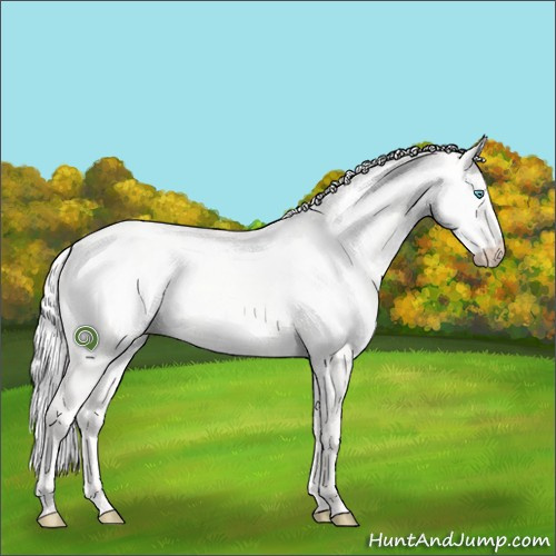 Horse Color:Silver Perlino Dun 