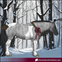 Horse Color:Blue Roan Tobiano 