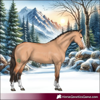 Horse Color:Bay Dun