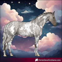 Horse Color:White Spotted Silver Blue Roan 