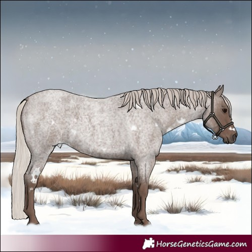 Horse Color:White Spotted Silver Blue Roan 