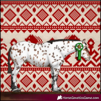 Horse Color:Bay Near Leopard 