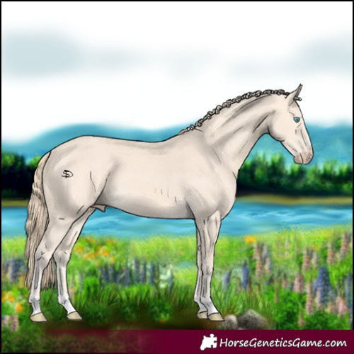 Horse Color:Perlino
