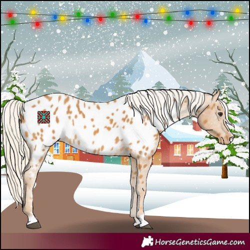 Horse Color:Palomino Near Leopard