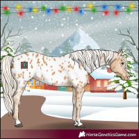 Horse Color:Palomino Near Leopard 