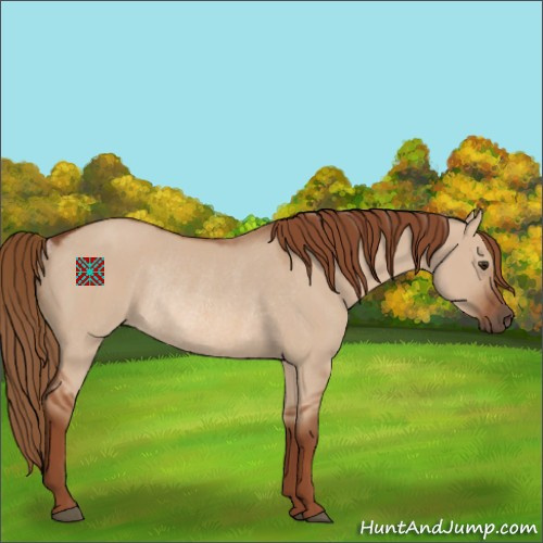 Horse Color:Red Dun Rabicano