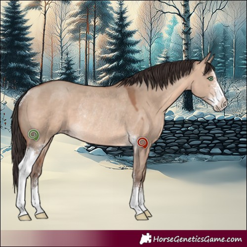 Horse Color:Sable Champagne Dun Sabino Rabicano 