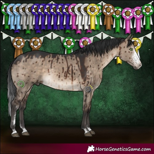 Horse Color:Brown Dun Sabino Rabicano Brindle