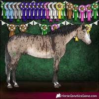 Horse Color:Brown Dun Sabino Rabicano Brindle 