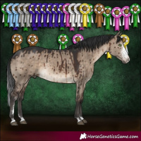 Horse Color:Brown Dun Sabino Rabicano Brindle 
