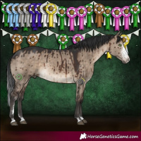 Horse Color:Brown Dun Sabino Rabicano Brindle 