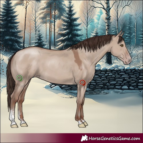 Horse Color:Classic Champagne Dun Sabino 