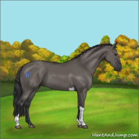 Horse Color:Grullo Tobiano 