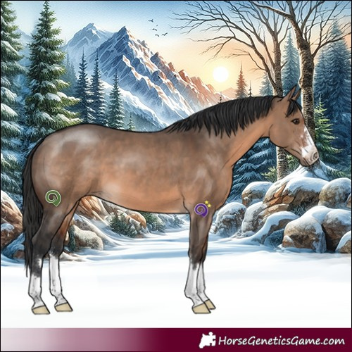 Horse Color:Brown Dun 