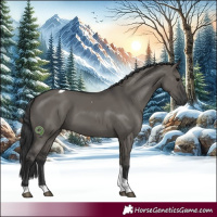Horse Color:Grullo Tobiano