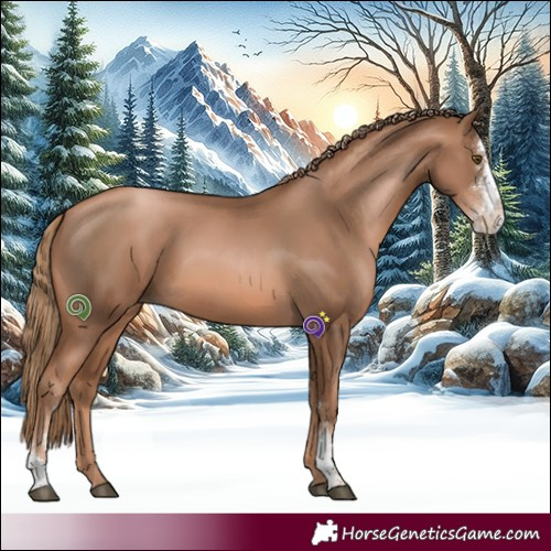 Horse Color:Liver Chestnut Pearl Sabino