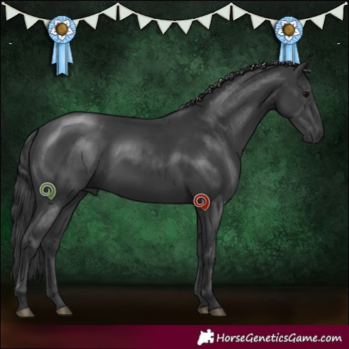 Horse Color:Black Rabicano 