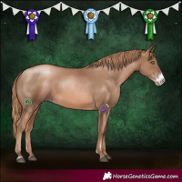 Horse Color:Liver Chestnut Pearl Sabino Rabicano