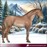 Horse Color:Black Pearl Sabino