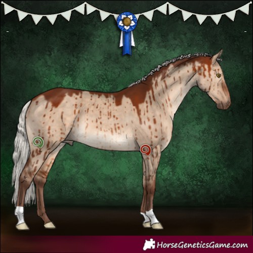 Horse Color:Silver Brown Dun Brindle 