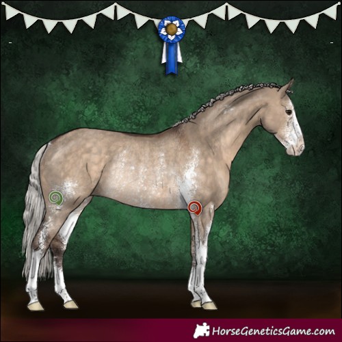 Horse Color:Silver Brown Dun Sabino Rabicano 