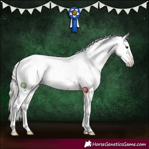 Horse Color:Silver Brown Dun Sabino Brindle 